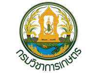โครงการใหม่ (6)